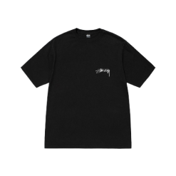 arachnid-tee-pigment-dyed-black